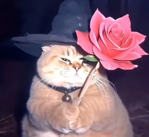 小甜甜